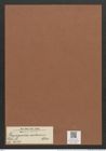 Plagiogramma caribaeum Cleve (de-Toni-Nr.: Genus 83, Species 2927) Zeichnungen Sammlung Grunow Mappe 03097 (Herbarium_W_Grunow_drawings_Folder_03097)
